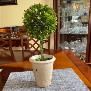 Artificial Topiary Tree in Cream Pot